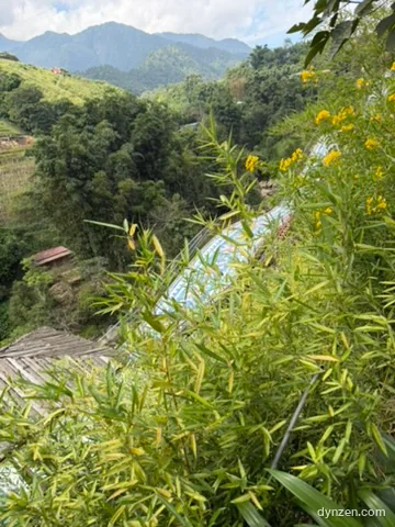 The stream seen through bamboo leaves, the slide lanes below the slope and layered mountains in the distance