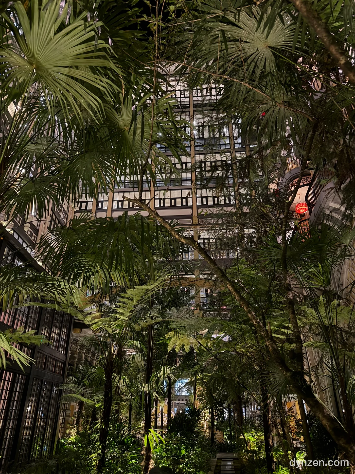 The inner garden of Hôtel de la Coupole, lit palms and ferns with rows of lit room windows rising behind them