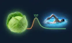 Featured image of post [CGM #3] The Cabbage and Swimming Difference