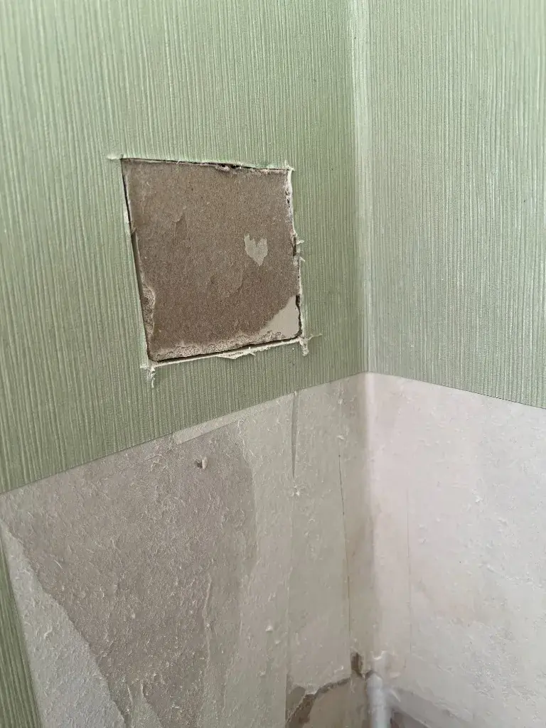 왼쪽 벽 오픈 시도