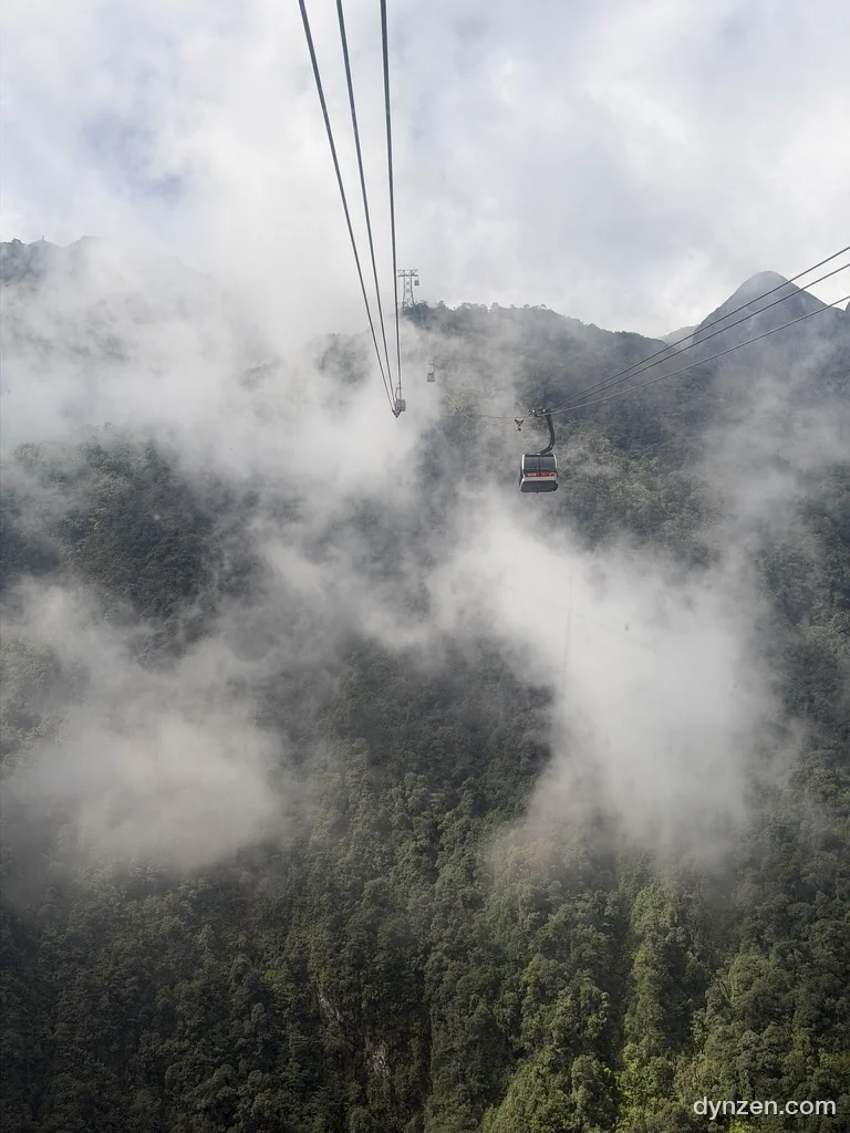 A cable car ahead climbing into the clouds on its cable, the forest below half hidden by cloud