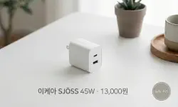 Featured image of post 이케아 SJÖSS 셰스 45W 2구 충전기 7개월 사용기: GaN은 아니었다