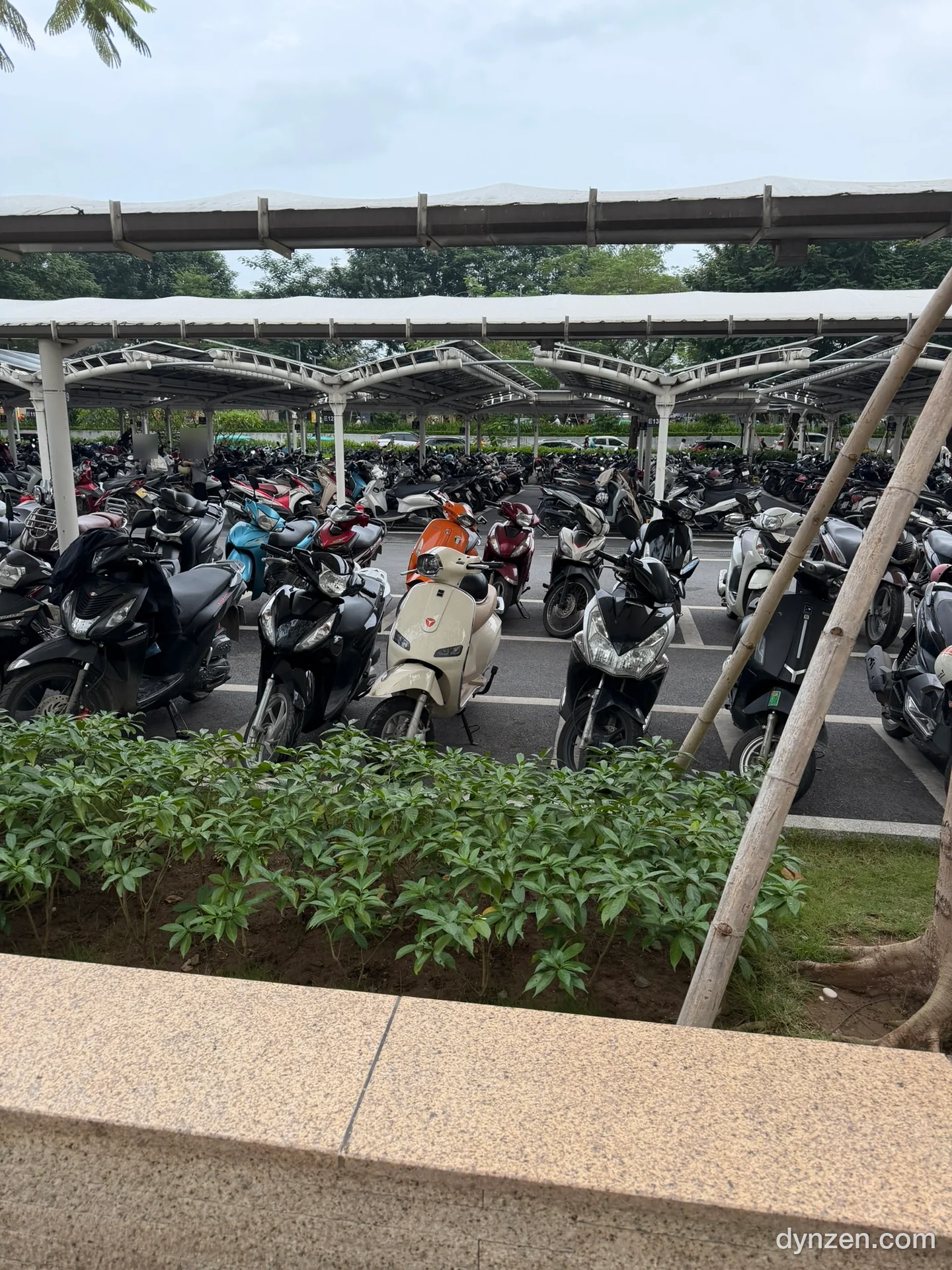 The motorbike parking lot at Lotte Mall West Lake, dozens of scooters lined up under a solar-panel roof