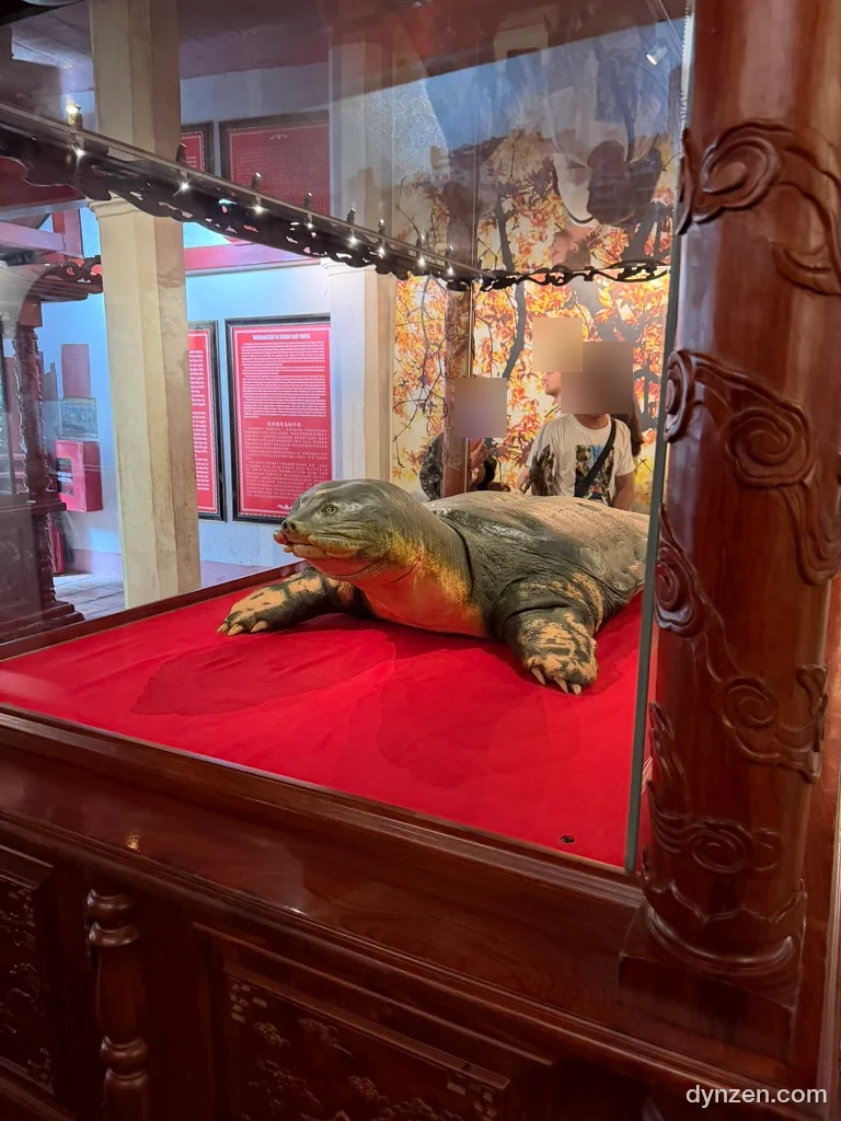 A large preserved turtle specimen in a glass case inside Ngoc Son Temple, resting on red cloth