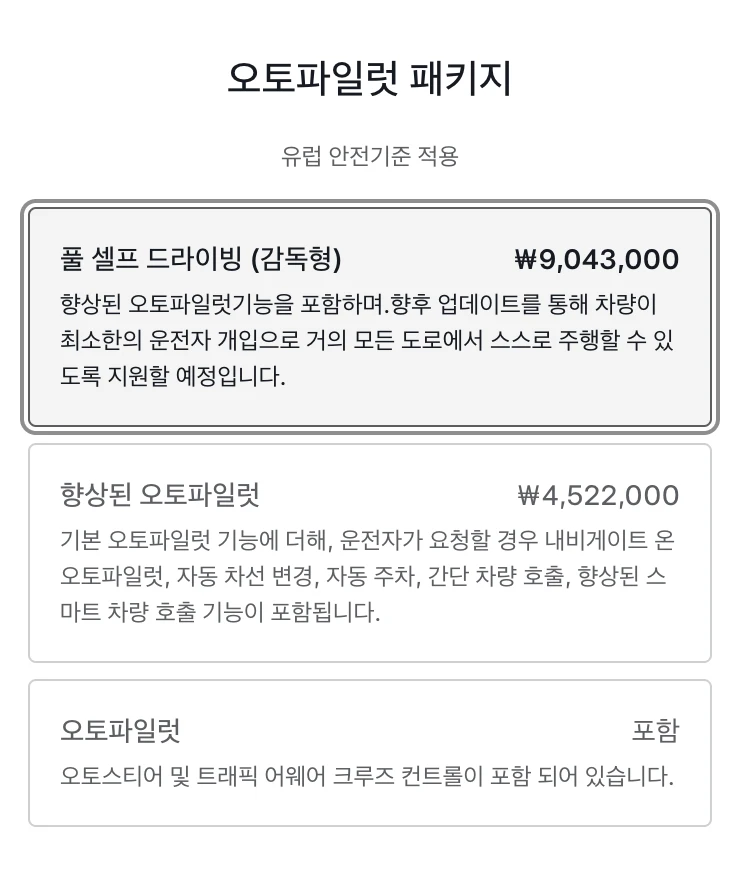 국내 테슬라 오토파일럿 패키지 가격