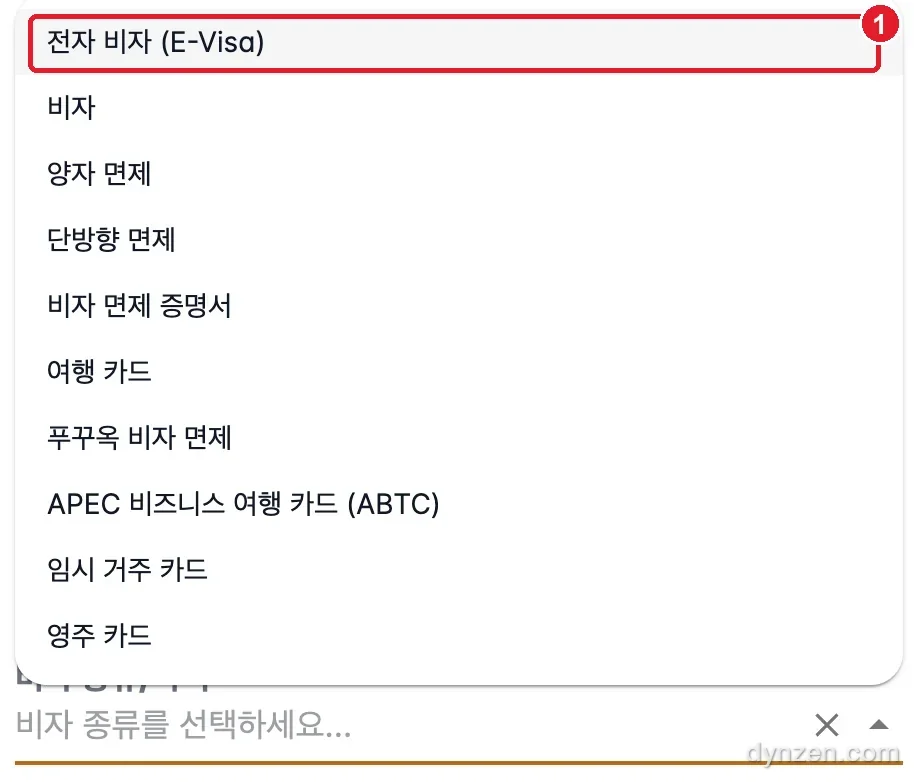 PAI visa type list, red box and step 1 mark on E-Visa at the top